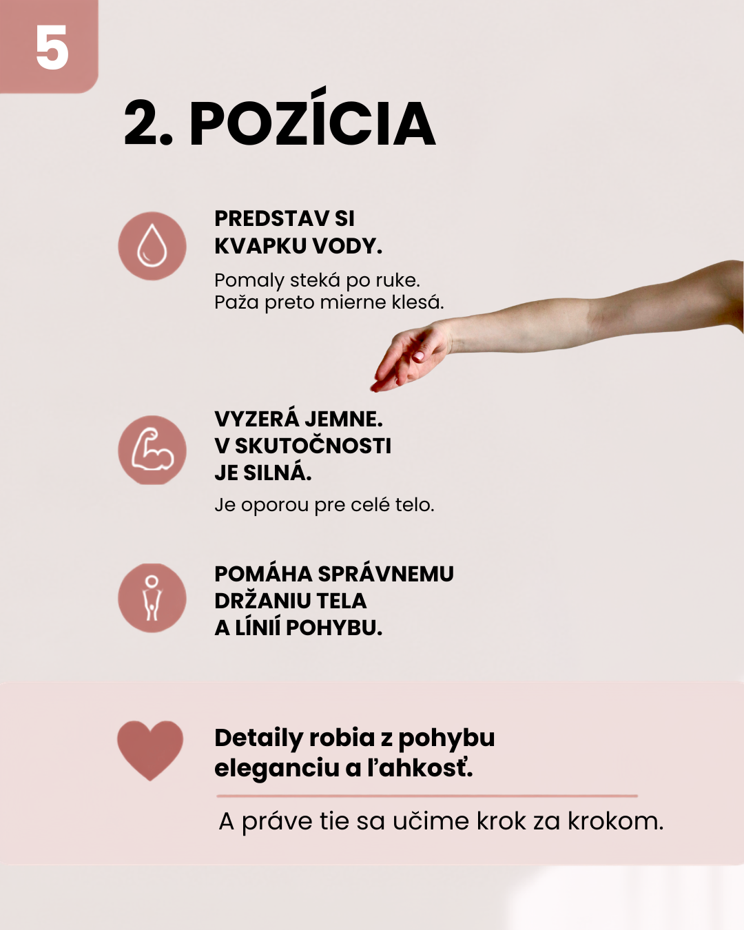 AllinGym edukatívny carousel — strana 5